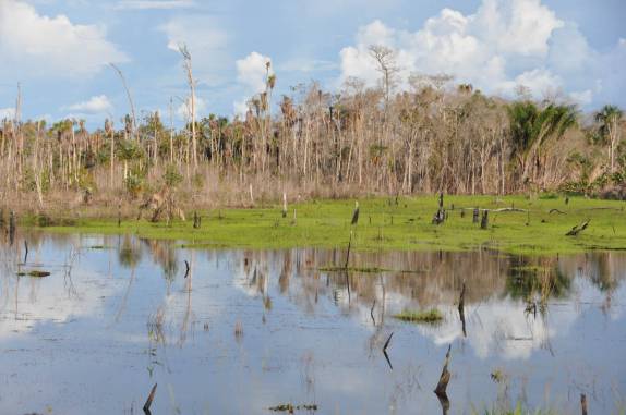 Paisagem no sul de Roraima, na viagem para Presidente Figueiredo - AM